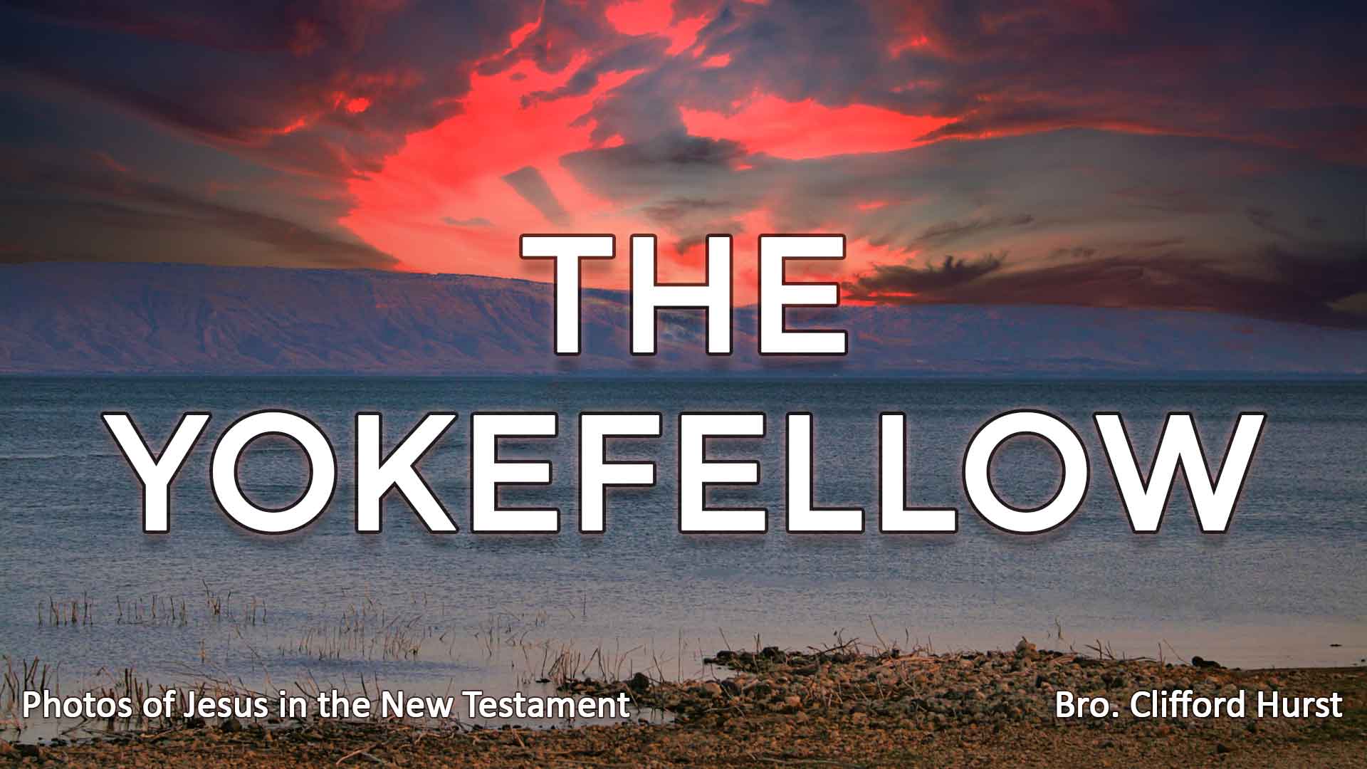 The Yokefellow