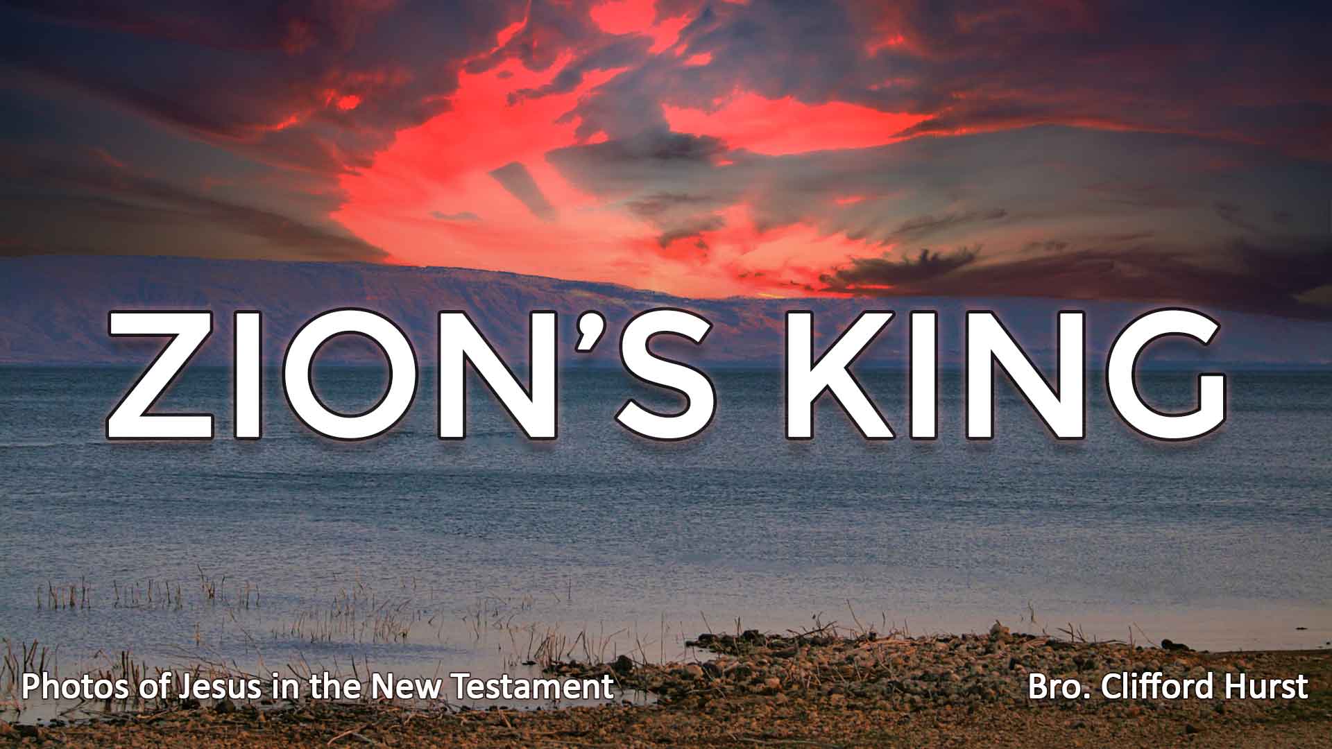 Zions King