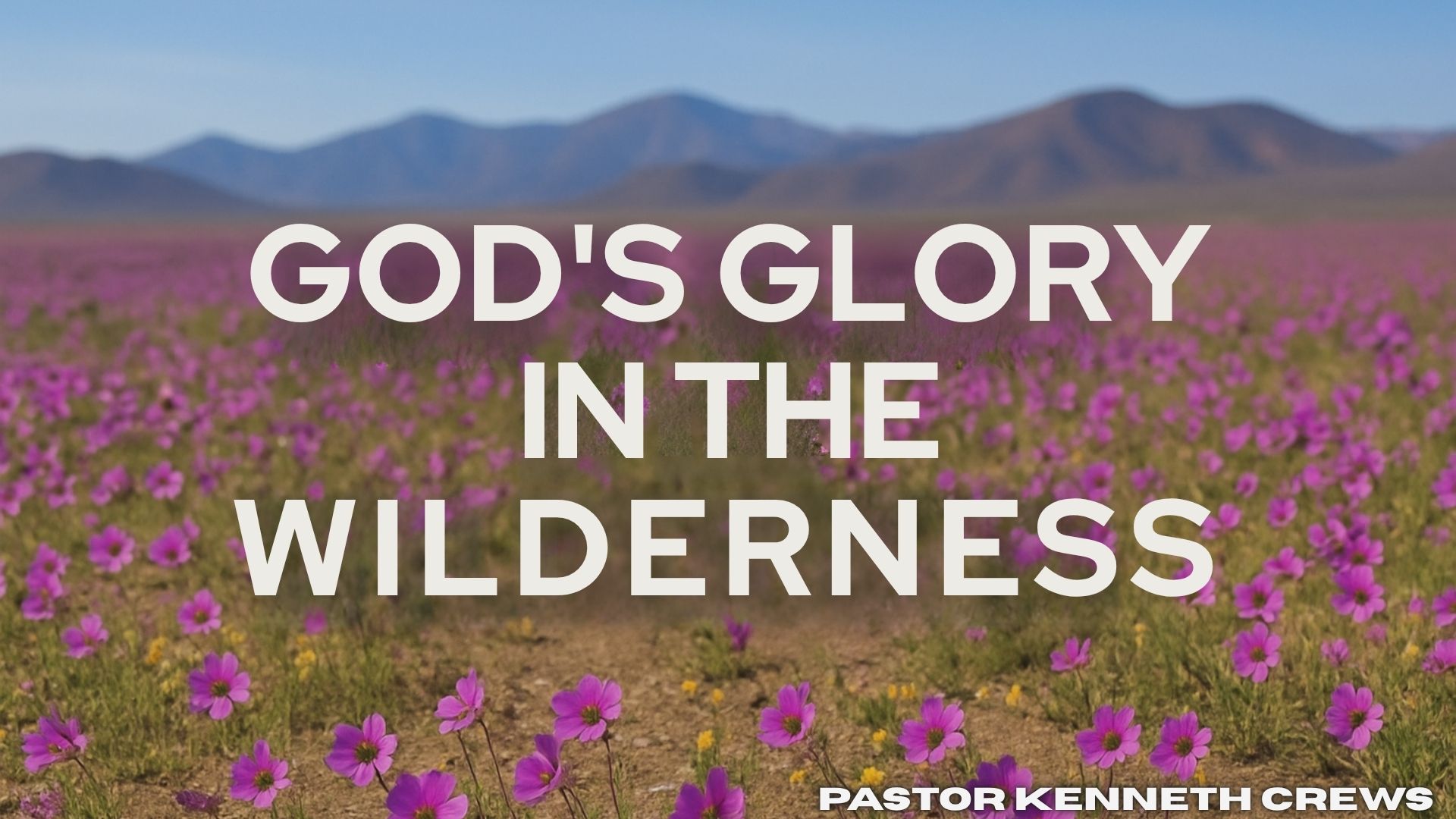 God's Glory In The Wilderness
