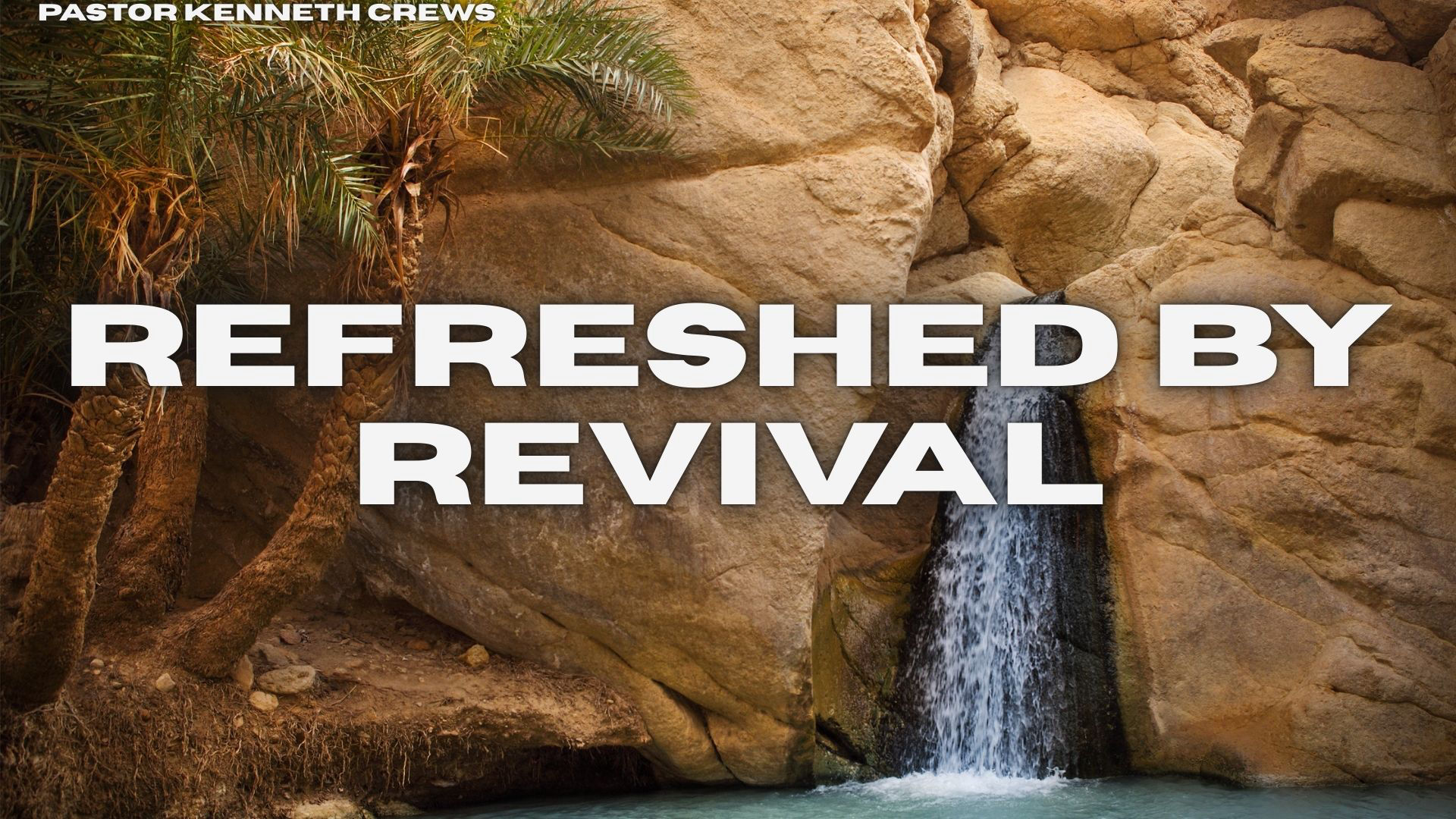 Refreshed By Revival