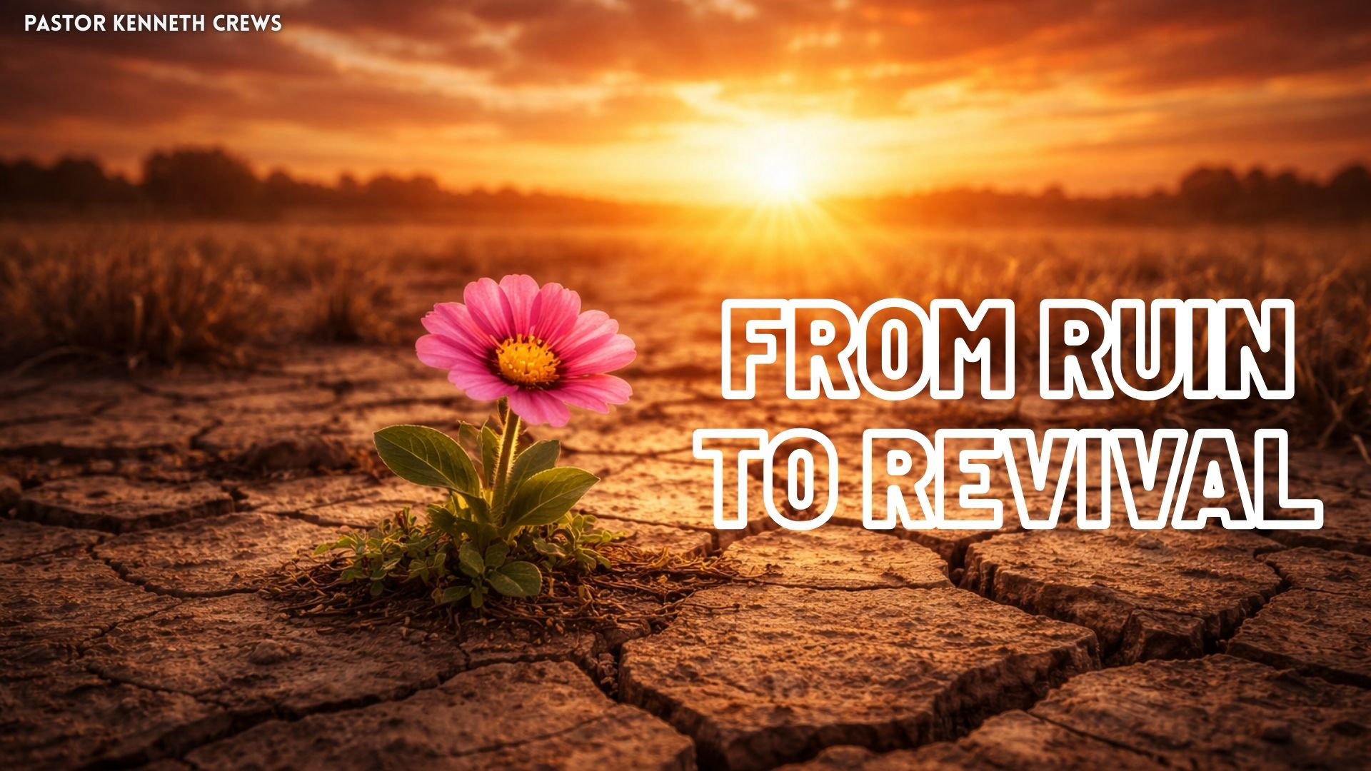 From Ruin to Revival