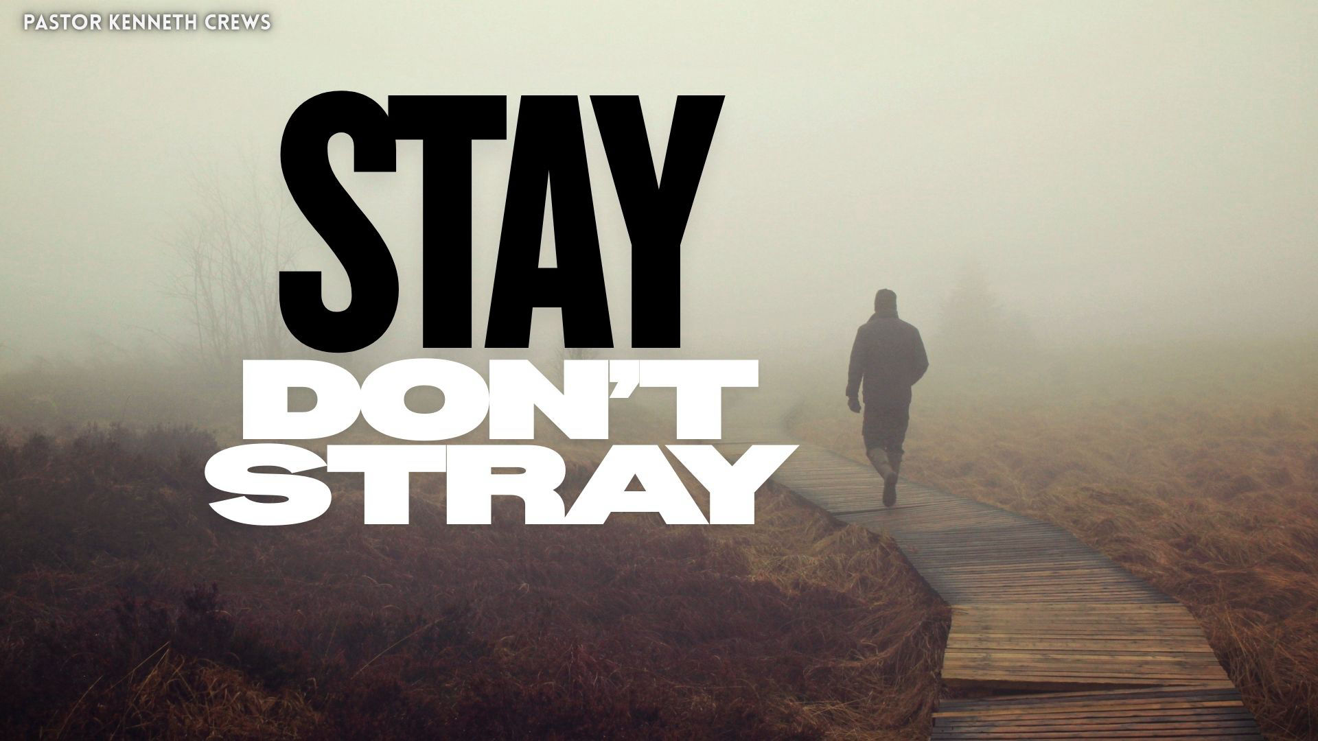 Stay Don't Stray