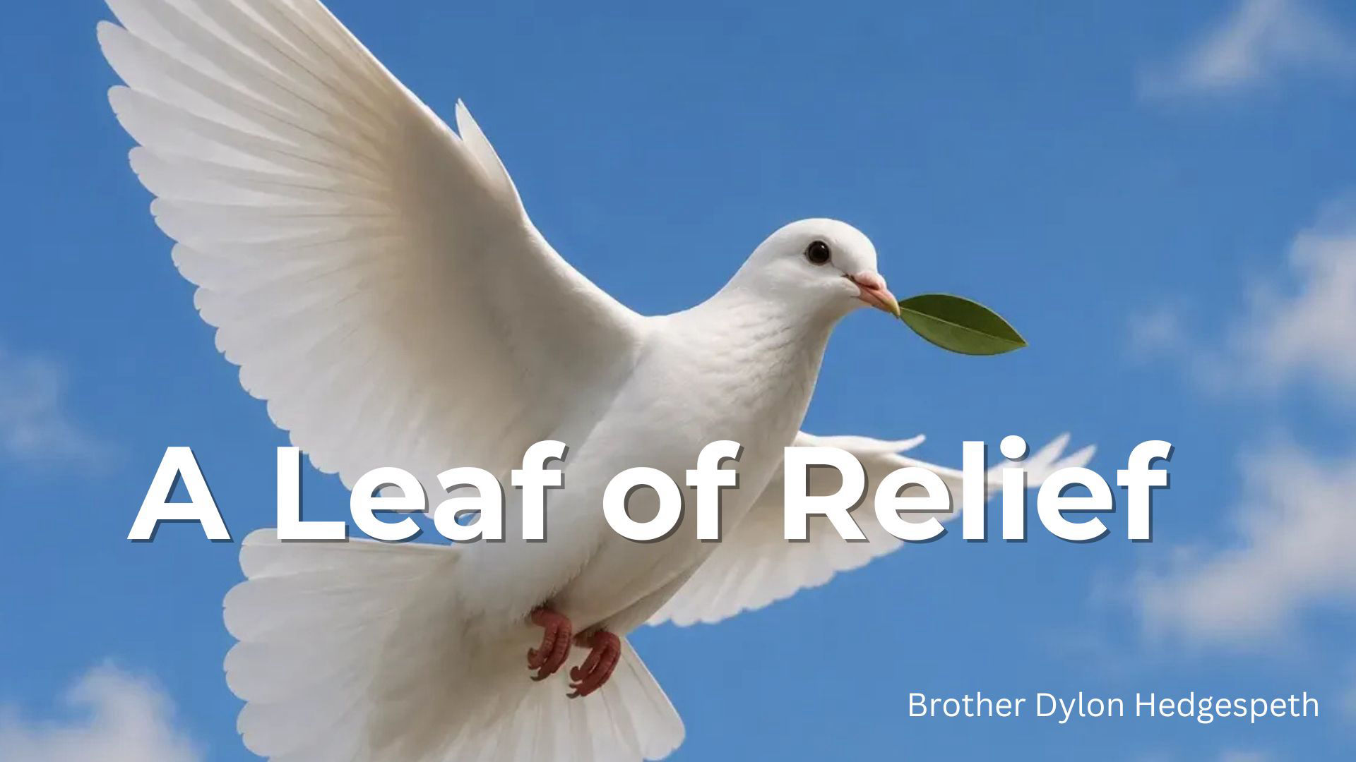 A Leaf Of Relief